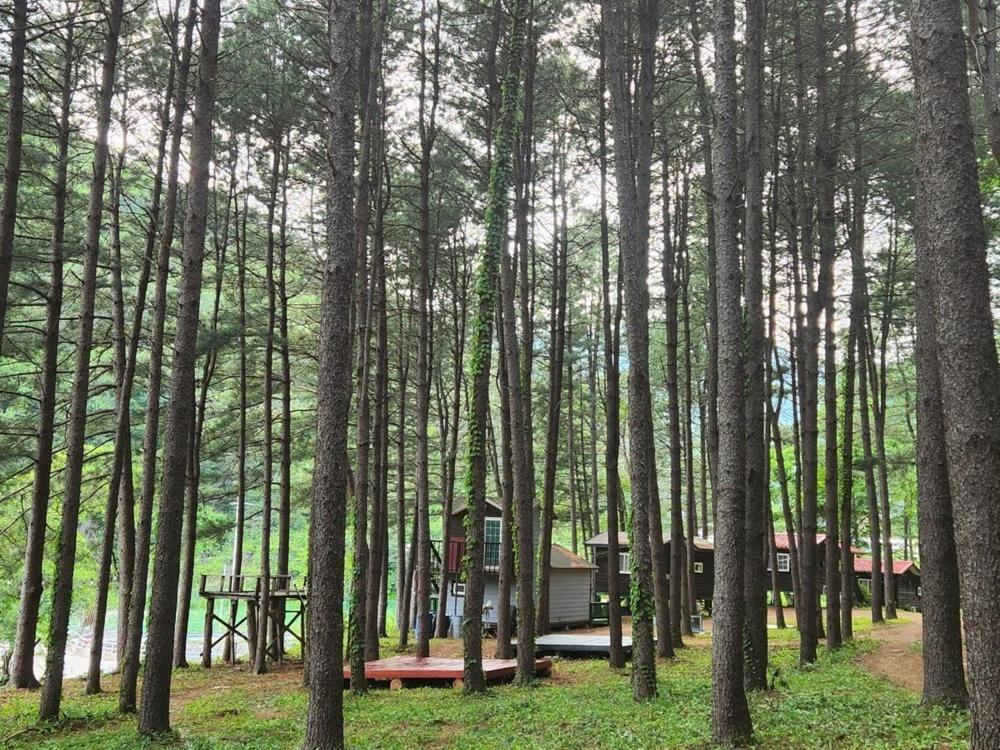 Hongcheon Gongjaksan Recreational Forest Pension Extérieur photo