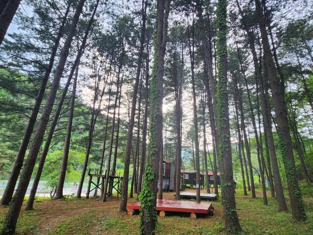 Hongcheon Gongjaksan Recreational Forest Pension Extérieur photo